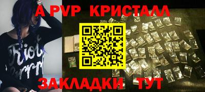 прущие грибы Камышлов