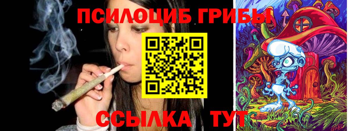 Галлюциногенные грибы Cubensis Хасавюрт